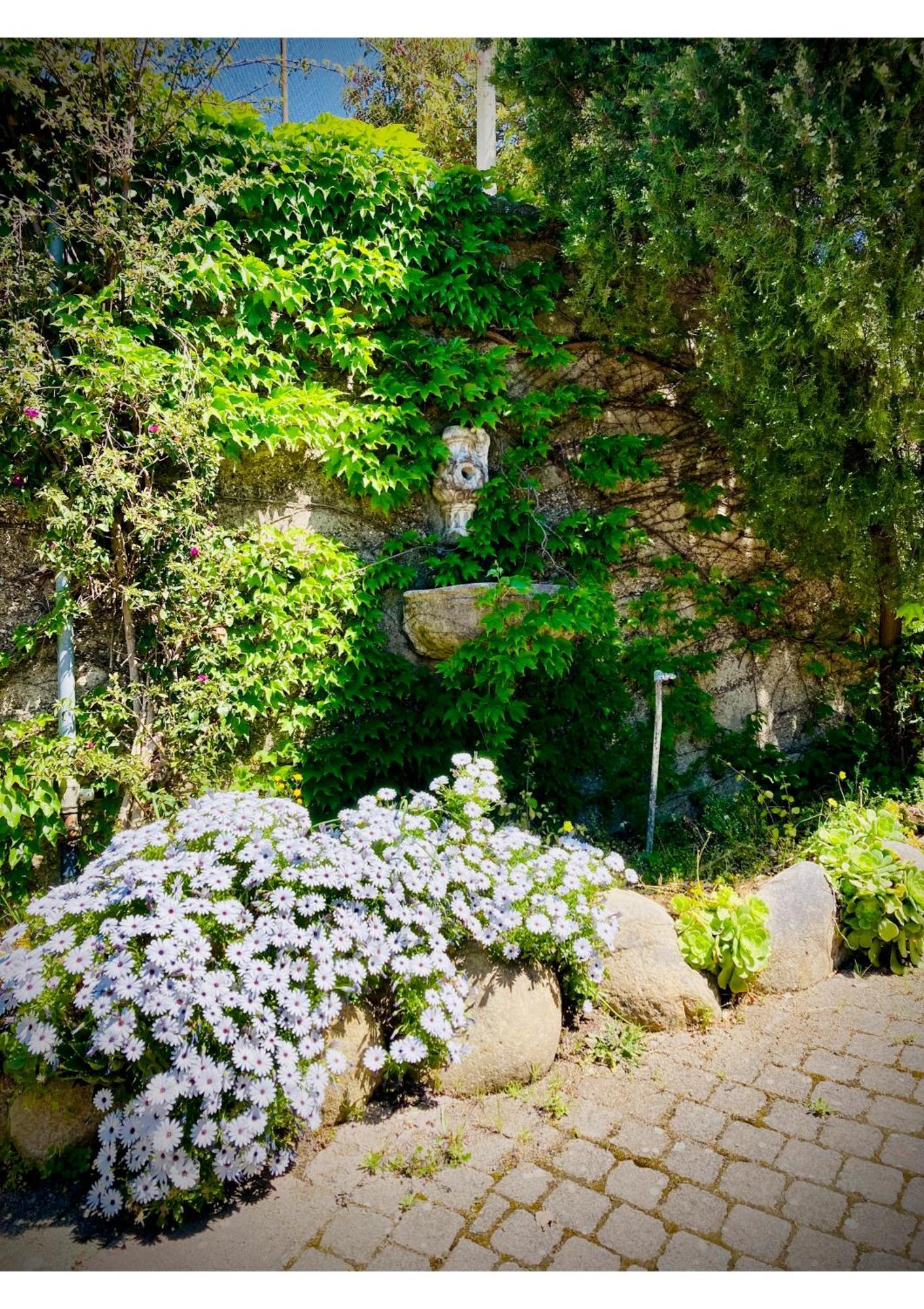 Villa Scilla E Cariddi Messina Exteriér fotografie