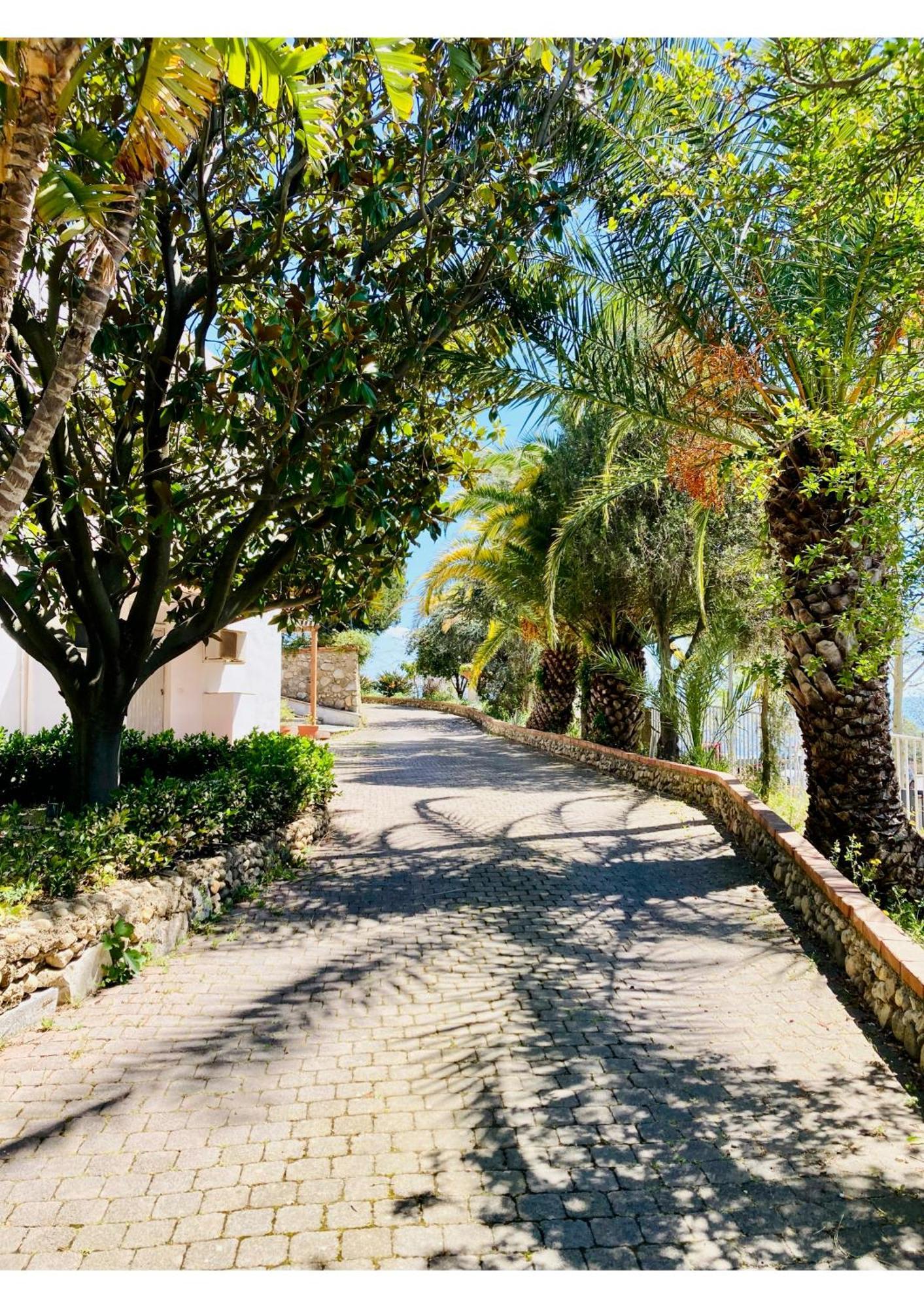 Villa Scilla E Cariddi Messina Exteriér fotografie