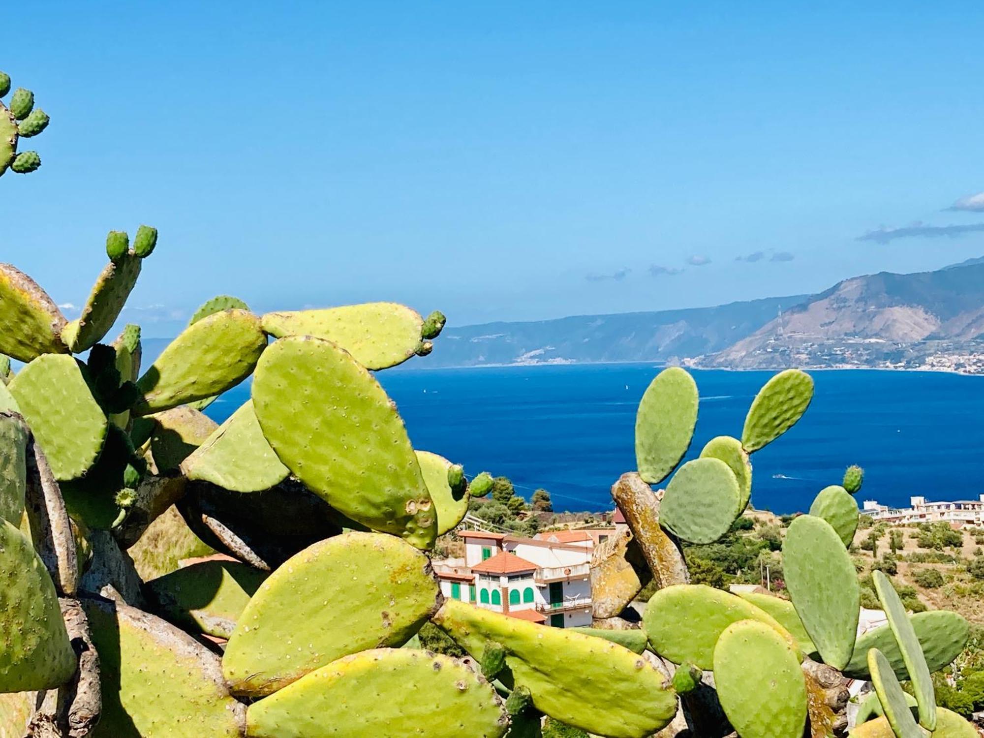 Villa Scilla E Cariddi Messina Exteriér fotografie