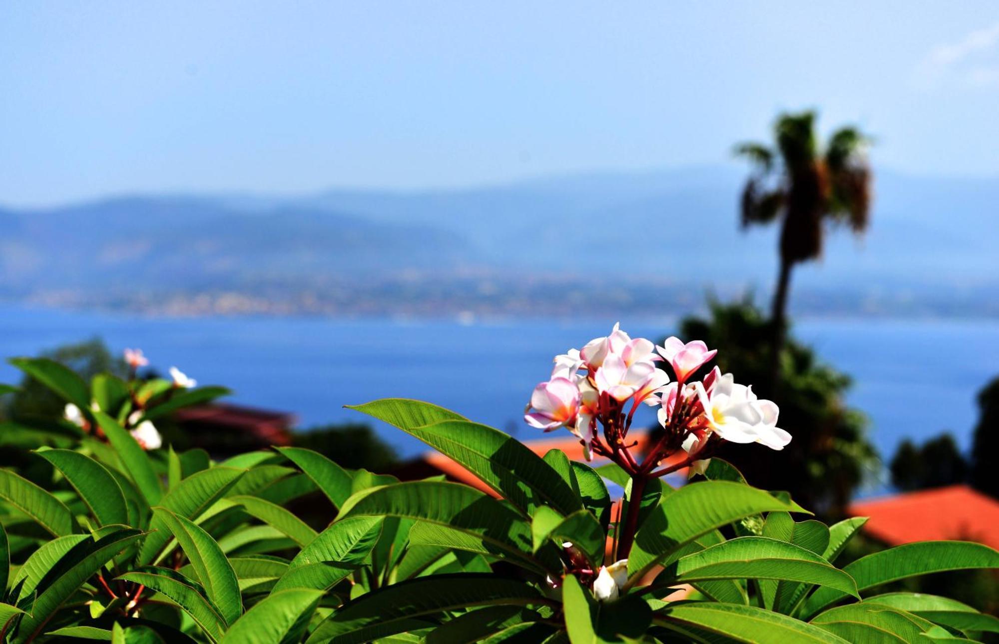 Villa Scilla E Cariddi Messina Exteriér fotografie